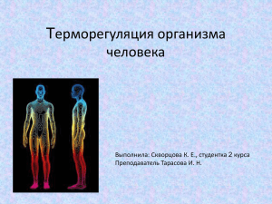 "Терморегуляция организма человека".