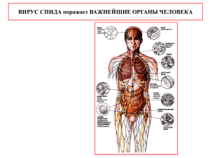 ВИРУС СПИДА поражает ВАЖНЕЙШИЕ ОРГАНЫ ЧЕЛОВЕКА