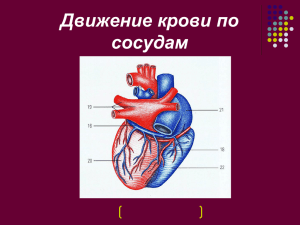 Движение крови по сосудам