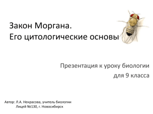 Закон Моргана. Его цитологические основы Презентация к уроку биологии для 9 класса