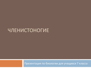 ЧЛЕНИСТОНОГИЕ Презентация по биологии для учащихся 7 класса