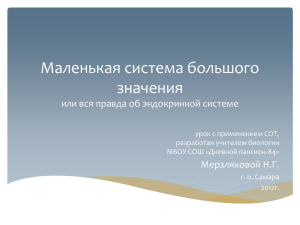 Маленькая система большого значения или вся правда об эндокринной системе Мерзляковой Н.Г.