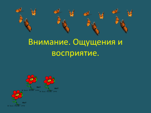 Внимание. Ощущения и восприятие.