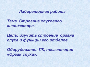 Лабораторная работа. Тема. Строение слухового анализатора. Цель: изучить строение  органа