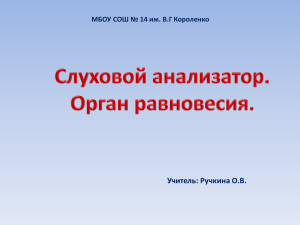 Учитель: Ручкина О.В. МБОУ СОШ № 14 им. В.Г Короленко