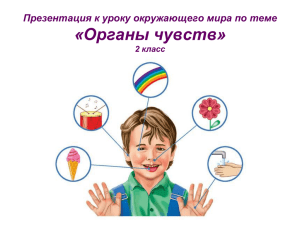 Органы чувств, ppt