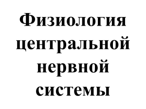 Физиология центральной нервной системы