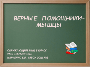 ВЕРНЫЕ  ПОМОЩНИКИ- МЫШЦЫ ОКРУЖАЮЩИЙ МИР, 3 КЛАСС УМК «ГАРМОНИЯ»