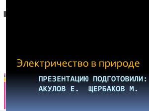 Ток в природе Акулов Евгений, Щербаков Максим 8 класс