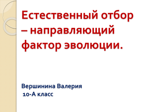 Естественный отбор – направляющий фактор эволюции. Вершинина Валерия