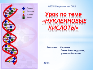 Урок по теме «НУКЛЕИНОВЫЕ КИСЛОТЫ» 2014