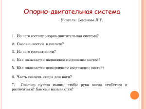 Какие органы защищены разными отделами скелета?