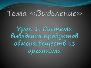 Урок 1. Система выведения продуктов обмена веществ из