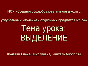 Тема урока: ВЫДЕЛЕНИЕ