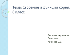 Тема: Строение и функции корня. 6 класс Выполнила учитель биологии: