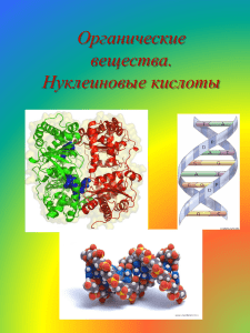 Органические вещества. Нуклеиновые кислоты