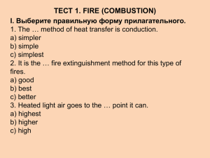 ТЕСТ 1. FIRE (COMBUSTION)