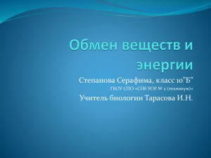 Степанова Серафима, 10 б. Презентация "Обмен веществ и