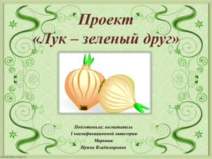 Продукт проекта