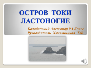 Остров-Токи-пластоногие-Балабанский