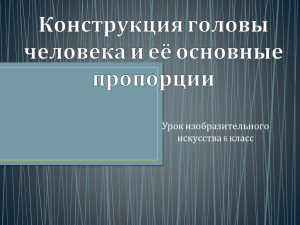 Конструкция головы человека и её основные пропорции