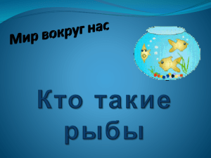 Документ5048225 5048225