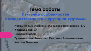 Инфузория_туфелька_финал_25_01