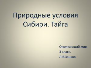 Природные условия Сибири. Тайга Окружающий мир. 3 класс.