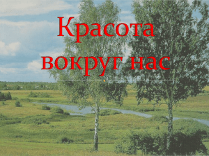 Красота вокруг нас