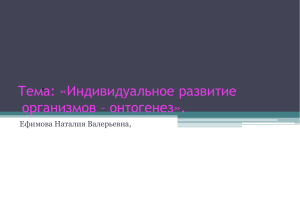 Тема: «Индивидуальное развитие организмов – онтогенез». . Ефимова Наталия Валерьевна,