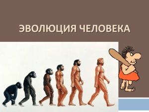 ЭВОЛЮЦИЯ ЧЕЛОВЕКА