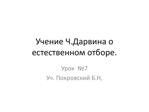 условия - PPt4WEB.ru