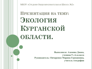 Есть ли экологические проблемы в Курганской области в