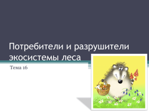 Потребители и разрушители экосистемы леса Тема 16 Миша