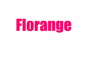 Директор по продажам Florange СНГ