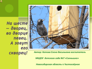 На шесте — дворец, во дворце певец. А зовут его скворец!