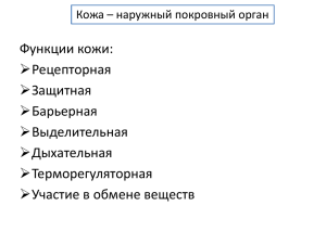 Функции кожи: Рецепторная Защитная Барьерная