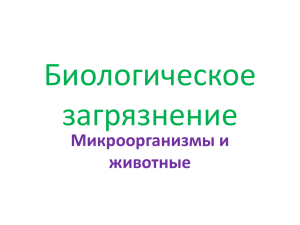 Биологическое загрязнение Микроорганизмы и животные