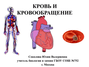 КРОВЬ И КРОВООБРАЩЕНИЕ Соколова Юлия Валериевна учитель биологии и химии ГБОУ СОШ №752