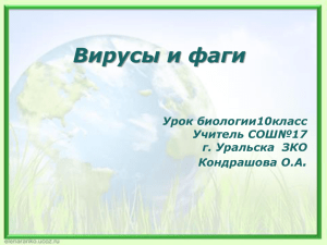 Вирусы и фаги . Урок биологии10класс Учитель СОШ№17