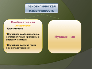 Генотипическая изменчивость Комбинативная Мутационная