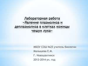 Лабораторная работа «Явление плазмолиза и деплазмолиза в клетках кожицы чешуи лука»