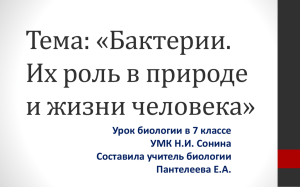 Бактерии . Их роль в природе и жизни человека