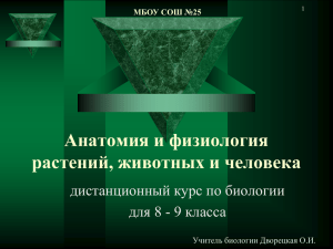 Анатомия и физиология растений, животных и человека дистанционный курс по биологии