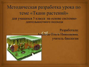 для учащихся 5 класса  на основе системно- деятельностного подхода Разработала: