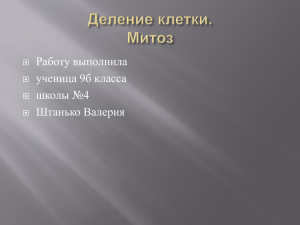 Работу выполнила ученица 9б класса школы №4 Штанько Валерия