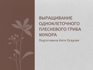 ВЫРАЩИВАНИЕ ОДНОКЛЕТОЧНОГО ПЛЕСНЕВОГО ГРИБА МУКОРА