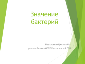 Значение бактерий Подготовила Громова Н.А. учитель биологи
