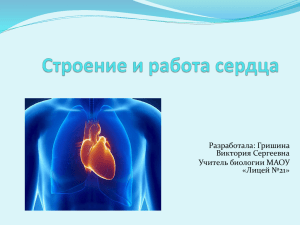 ЦЕЛЬ: Изучить особенности строения и работы сердца