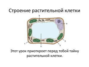 Путешествие по стране «Цитология». - Ya